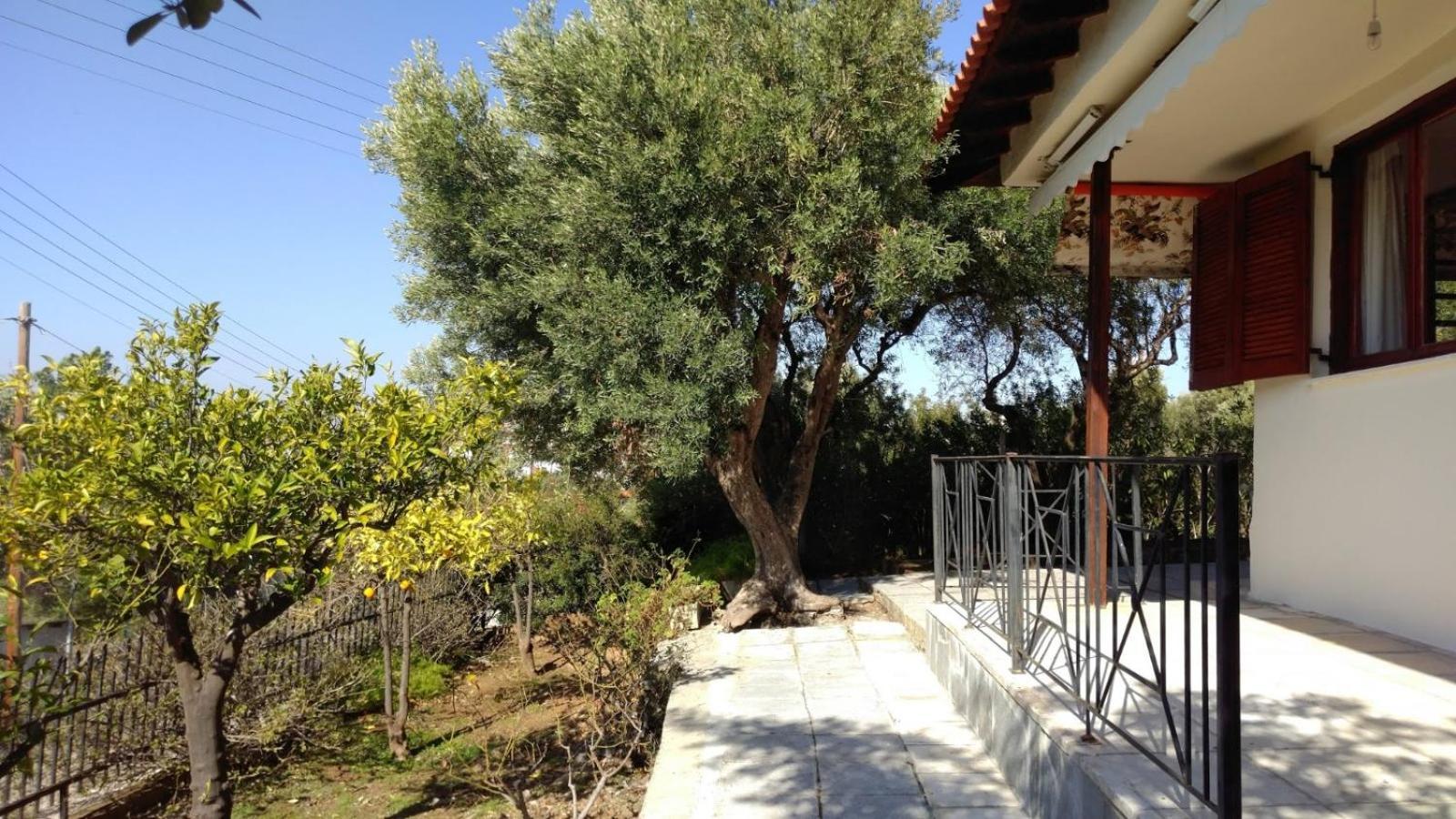 Gerakina Beach Cottage Psakoudia Exterior foto